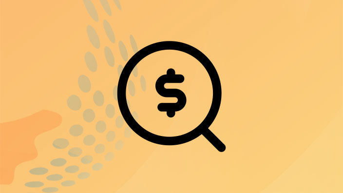 Shopify kosten uitgelegd